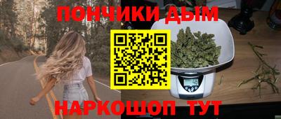 сатива Лесосибирск