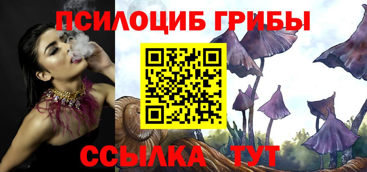 Чебоксары  Галлюциногенные грибы GOLDEN TEACHER  Вход с VPN 